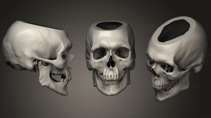 Анатомия скелеты и черепа (Череп Мужской 54лет, ANTM_1292) 3D модель для ЧПУ станка